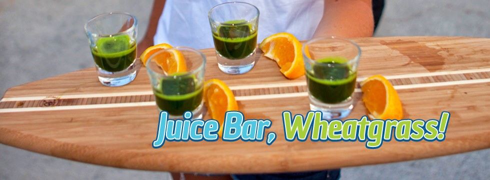 Wrightsville Beach Wellness Café, Juice Bar, and Equipment